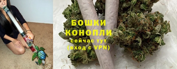 стаф Бронницы