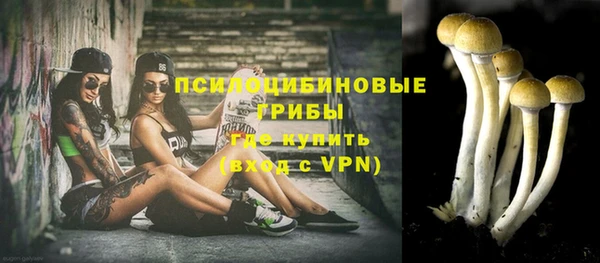стаф Бронницы