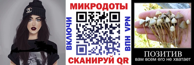 Купить где  Вилюйск  Галлюциногенные грибы прущие грибы 